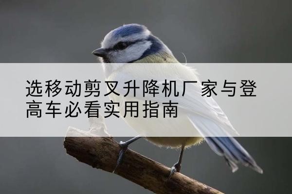 临澧电动升降机厂家-选移动剪叉升降机厂家与登高车必看实用指南