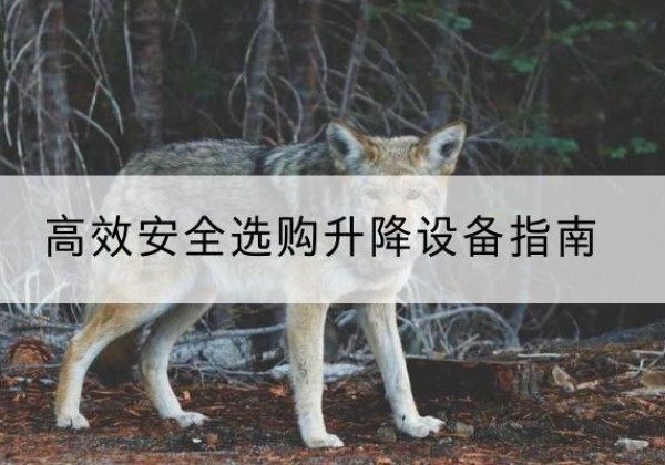 临澧升降货梯厂家推荐-*安全选购升降设备指南