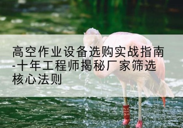 临澧剪叉式升降机厂家-高空作业设备选购实战指南-十年工程师揭秘厂家筛选核心法则